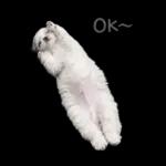 モカのスタンプ　幼少期編