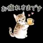 冬の毎日と年末年始☆猫たちのスタンプ