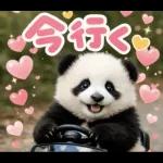 だいすきパンダ