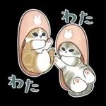 おめかしにゃん