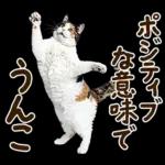 うんこ★リアルな猫