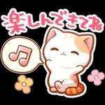 毎日♡猫ちゃんず【連絡・今何してる？】