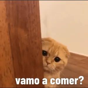 vamo a comer? - getsticker.com
