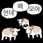 호기심 많은 소