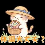 ぽかぽか春ねこライフ