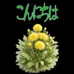 もふ屋画♪チップとデール