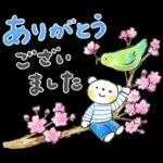 ハルちゃん＆フクン【暖かい春】