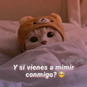 Y si vienes a mimir conmigo? - getsticker.com
