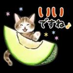夏の毎日☆猫たちのスタンプ２