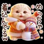 冬の猫のスコティッシュ【よく使う言葉】