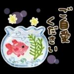 気遣い♡ぷっくり梅雨.天気