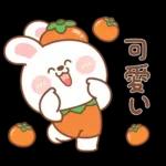 カナ & カキ : 秋の愛愛 2