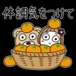 はな子✿ずっと使える冬と年末年始