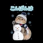 毎年使える♪リアルなにゃんこの年末年始