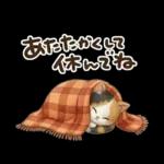 三毛猫の冬のあいさつ