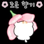 아기람꾸 : 벚꽃 에디션