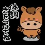 み～んな使える♡大人の年賀スタンプ2026