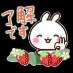 うさぎさん 春・梅雨・初夏