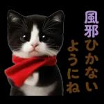 秋のネコたちにゃんだふる♡