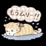毎日使える♡大人可愛いガーリーキャット2