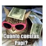 Hazle Zoom a mi patita todo va a estar bien @psicologacana