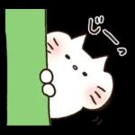 しろねこ♡まるのシンプルな日常挨拶