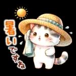猫のつめあわせ【夏】