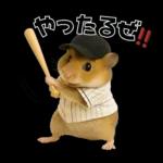 【新】リアル野球ハムスター