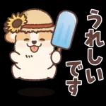 コーギーにとっての雨季と初夏