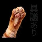 意外と使える！ネガティブなタイプの猫たち