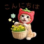 毎日使えるねこあいさつ