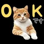 リアルな猫の敬語