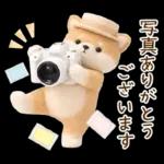 癒やしばいぬで春の日常スタンプ