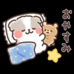 ふわふわシーズー 3歳児