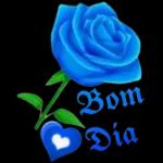 bom dia kkkkk