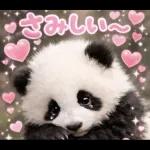 だいすきパンダ