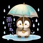 ぺんちゃんと梅雨じかん
