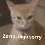 Bonita Noche Que Descansen