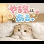 飛び出す♡やる気ないにゃんこ