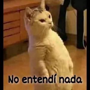 No entendí nada - getsticker.com