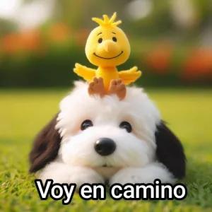 Voy en camino - getsticker.com