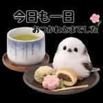 とってもかわいい♡シマエナガちゃん