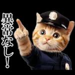 リアル猫警察官