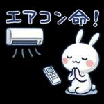毎日使える夏☆ほぼ白うさぎ