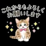 ふんわり可愛い☆猫たちのスタンプ