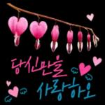 꽃으로 전하는 마음, 감사톡