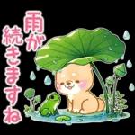 雨、梅雨、夏に使う❤️いやしばいぬ❤️柴犬