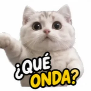 ¿QUÉ ONDA? - getsticker.com