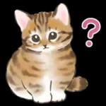 ふんわり可愛い☆猫たちのスタンプ