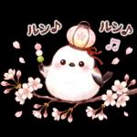 春のシマエナガ♪